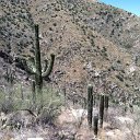 arizona from kells camera - IMG_3231